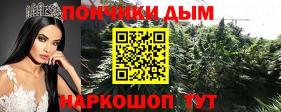 крисы Севастополь