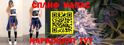 крисы Севастополь