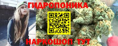 крисы Севастополь
