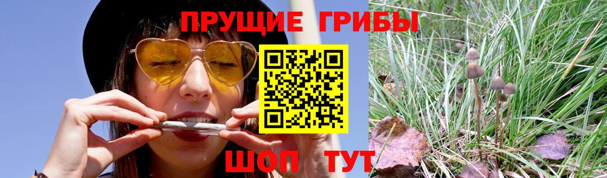 Псилоцибиновые грибы MAGIC MUSHROOMS Артём